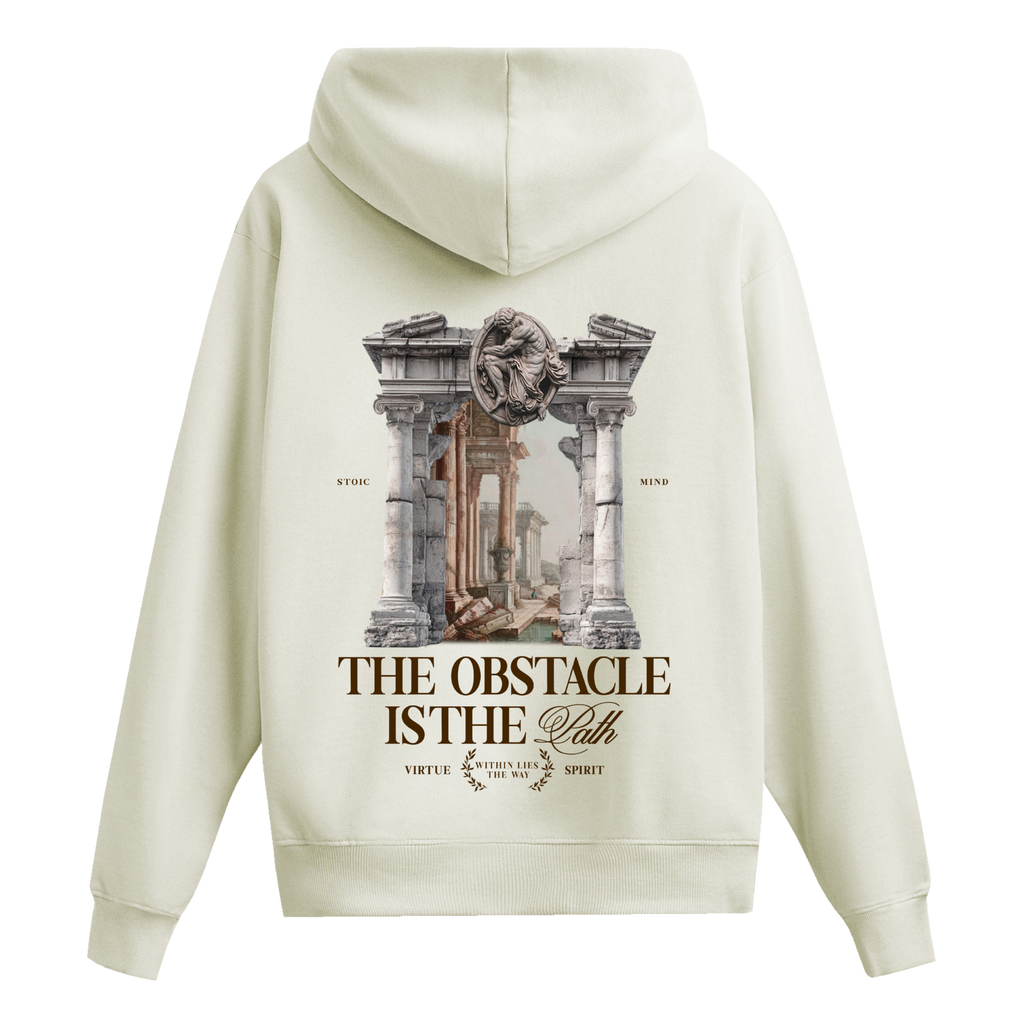 Hoodie Ruins of Virtue